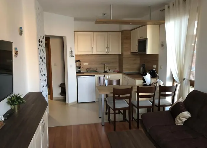 In Belvedere Club 550 M From Lift Bansko